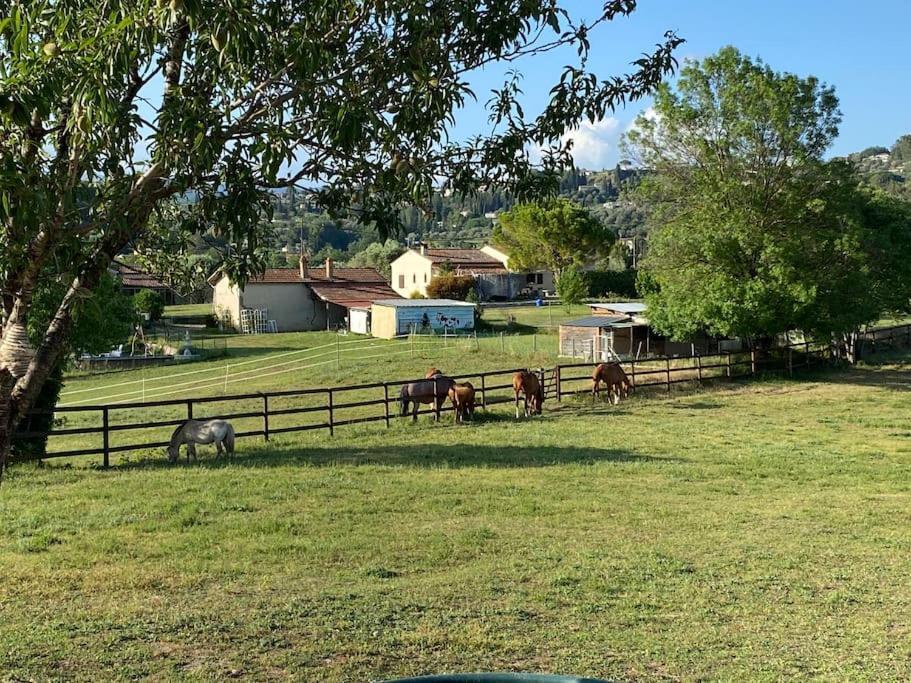 La Bastide De Jean Maison De Charme Dans Un Domaine Equestre Prive Grasse Luaran gambar